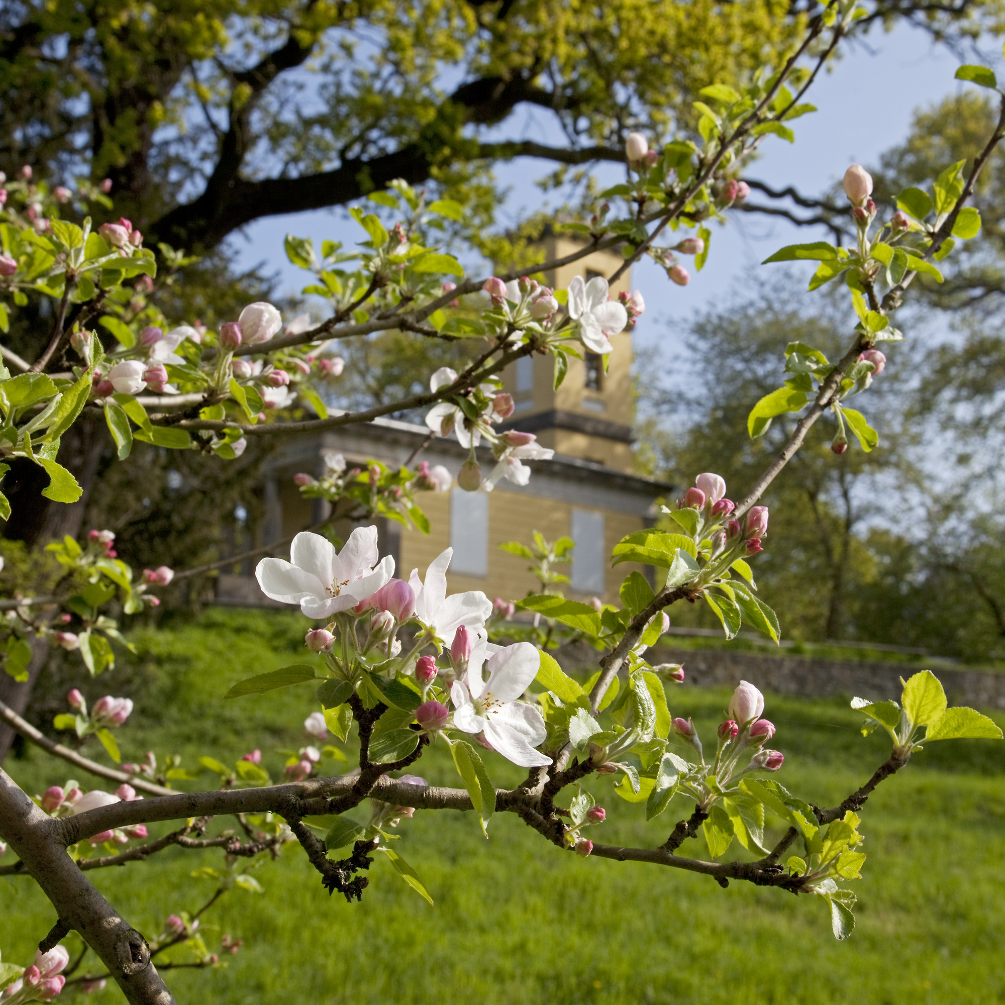 Park Großkühnau, Weinbergschloss