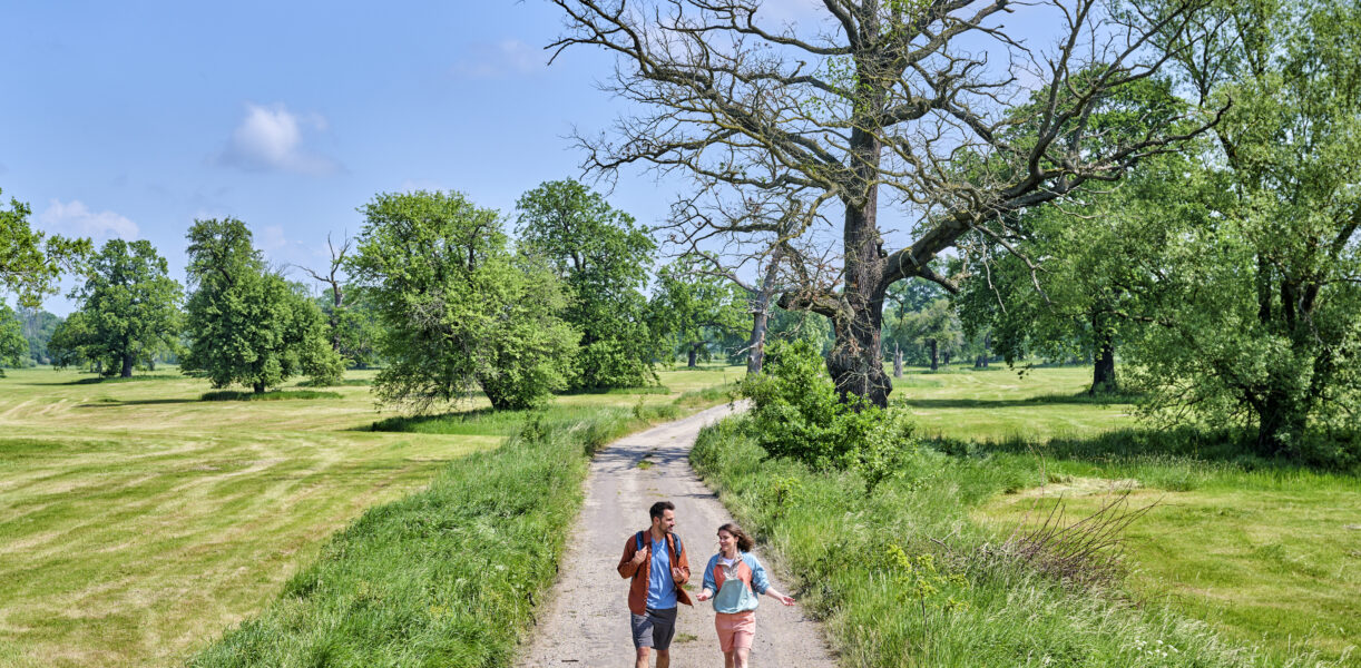 Wandern im Biosphärenreservat Mittelelbe