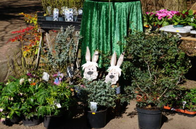 Frühlingserwachen, Markt